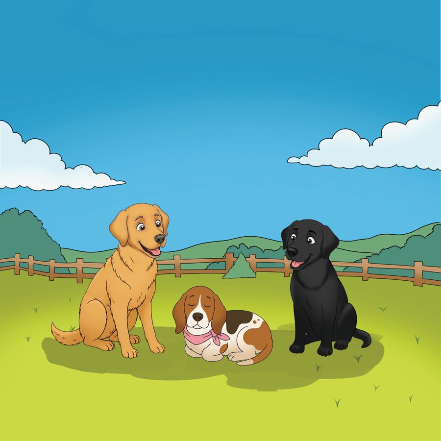Walter, Billy, and Polly the basset hound together in the field